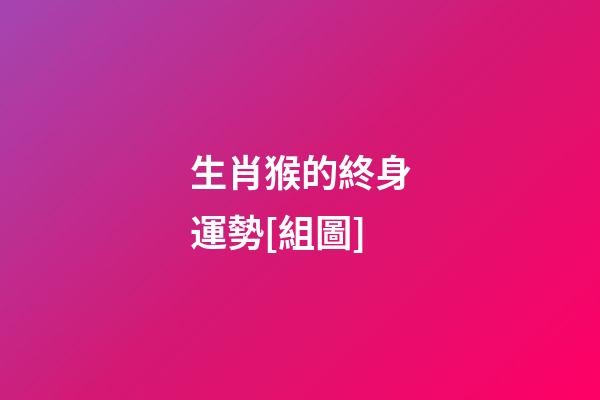 生肖猴的終身運勢[組圖]